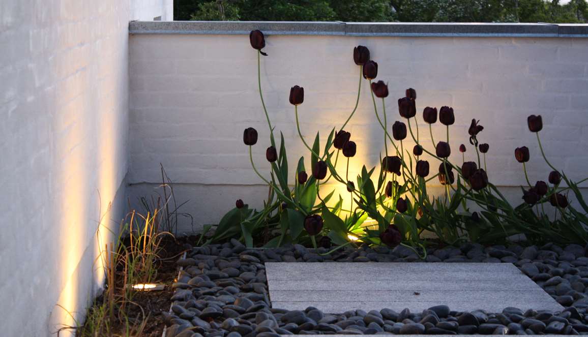 Spots i planter lysdesign af havearkitekt Tor Haddeland